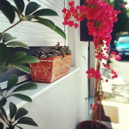 Elmar Homeliving * 볼로스